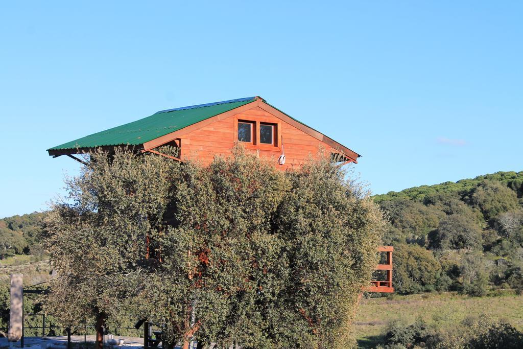 Cabaña El Mirador Hostal Pedroso de Acim Exterior foto